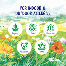 Load image into Gallery viewer, RhinAllergy / 60 Cap