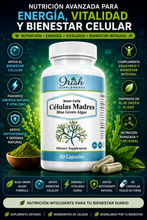 Load image into Gallery viewer, STEM CELLS – CÉLULAS MADRES™

Blue Green Algae • Vitalidad • Bienestar Celular
