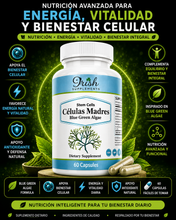 Load image into Gallery viewer, STEM CELLS – CÉLULAS MADRES™

Blue Green Algae • Vitalidad • Bienestar Celular
