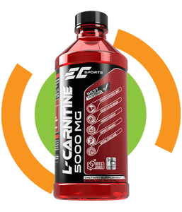 L-CARNITINE 5000 mg & Vitamina B5 / 16oz